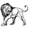 LION007